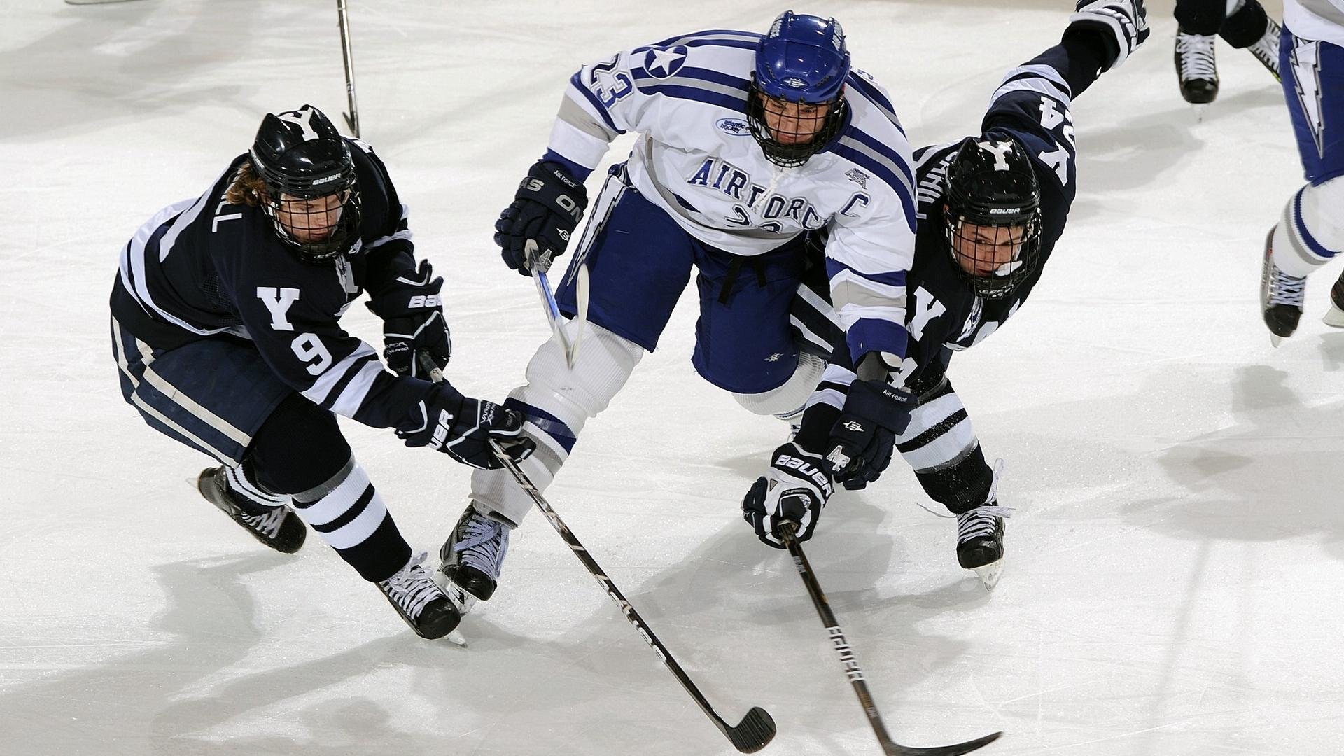 Timgad 举办 3×3 球赛+植树活动，助推社会融合与环保意识，植树节赛